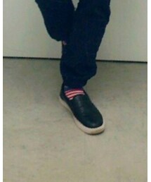 靴下屋 | ソックス/靴下