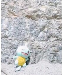 🐢 | おもちゃ