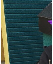 REIR★RIZE | Tシャツ/カットソー