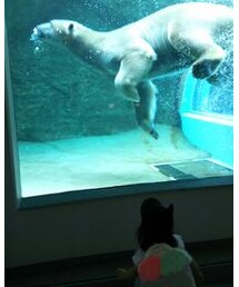 ロッシー君 | ロッシー君(その他)