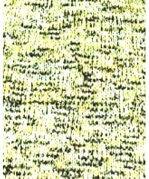 Radiate | スカート