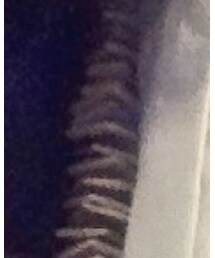 Cambodia wood | ネックレス