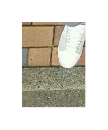 Admiral | スニーカー