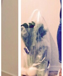 直売所のカブと小松菜 | その他