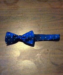 green label relaxing | ブルー、水玉(蝶ネクタイ)