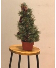 studio CLIP | インテリア