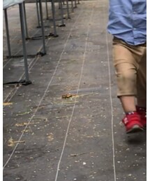 MIKI HOUSE | パンツ