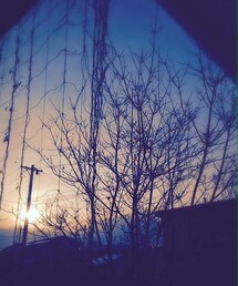tokino.s  photo | リビングから見える朝日(その他)