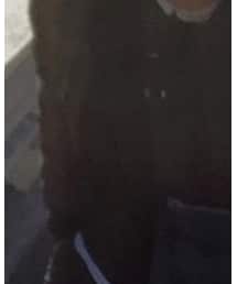 TODD SNYDER | スウェット