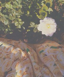 fleamadonna | スカート