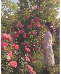 OLIKA | ワンピース