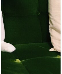 カリモク | 家具