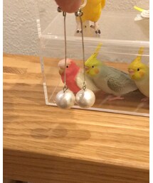 Handmade | イヤリング