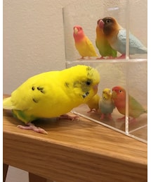 🐥息子💕親バカです💦 | その他