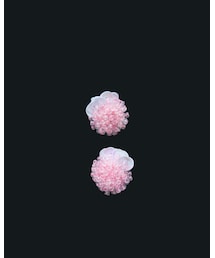 designsix | イヤリング