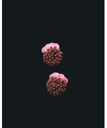 designsix | イヤリング