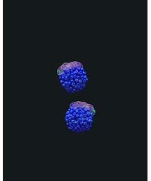 designsix | イヤリング