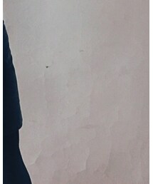 SNIDEL | ニット/セーター