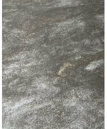 STREET | その他