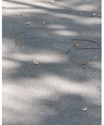 STREET | その他