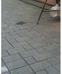 G-SHOCK | アナログ腕時計