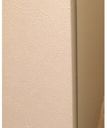 Lee | デニムパンツ