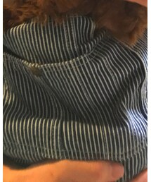 この前のおまけfeat愛犬ウールちゃん | その他