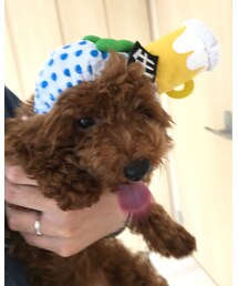 WOOL 5ヶ月🍺バージョン | その他