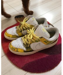NIKE | SB DE LA SOUL(スニーカー)