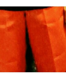 Dickies | その他パンツ