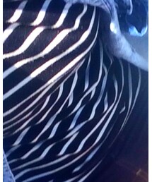 grove | Tシャツ/カットソー