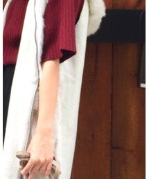 DouDou | ラビットファーのベスト♡ちょっと肌寒くなってきたので活用したいと思います😆(その他アウター)