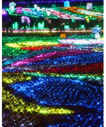 ドイツ村のイルミ🎄 | その他