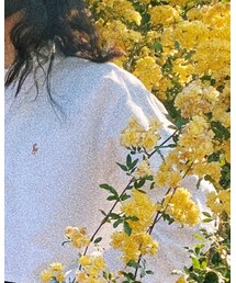 RALPH LAUREN | ポロシャツ