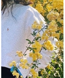 JAM | ポロシャツ