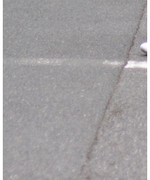 ai16_sneakers | その他