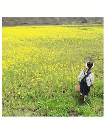 菜の花畑 | その他