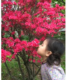 LIBERTY LONDON | ワンピース