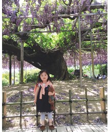 Seraph | カーディガン/ボレロ