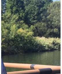 井の頭公園 | その他