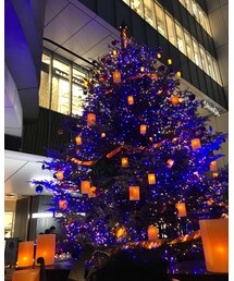 merry Christmas 🎄 | その他