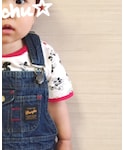 しまむら(シマムラ)の「トップス(Tシャツ/カットソー)」
