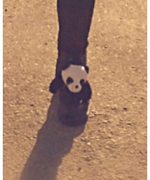 ファンキーフルーツ | おもちゃ