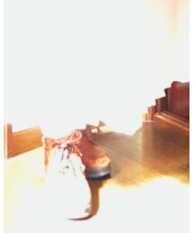 tutuanna | ソックス/靴下