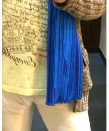 Calvin Klein PLATINUM | マフラー