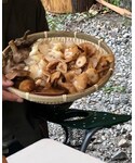 ナラタケの「その他(その他)」