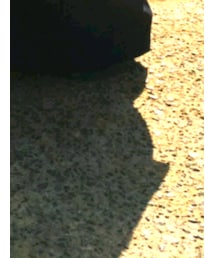 IENA | デニムスカート