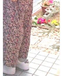 HOLLYWOOD RANCH MARKET | パンツ