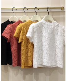 evelyn | Tシャツ/カットソー