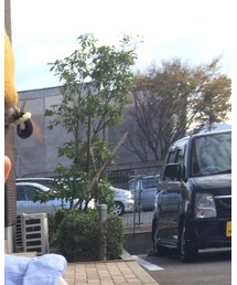 3coins | ハンチング/ベレー帽